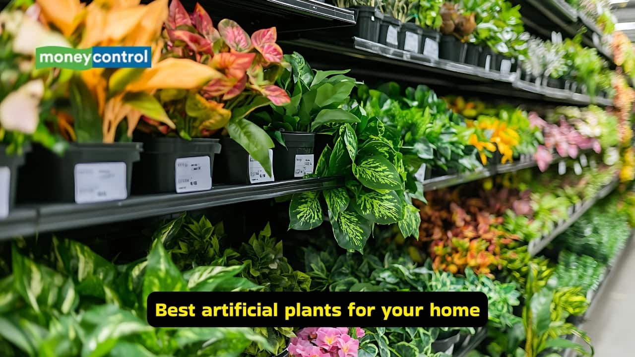 7 artificial plants that look just as beautiful as the real ones, minus the maintenance