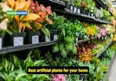 7 artificial plants that look just as beautiful as the real ones, minus the maintenance