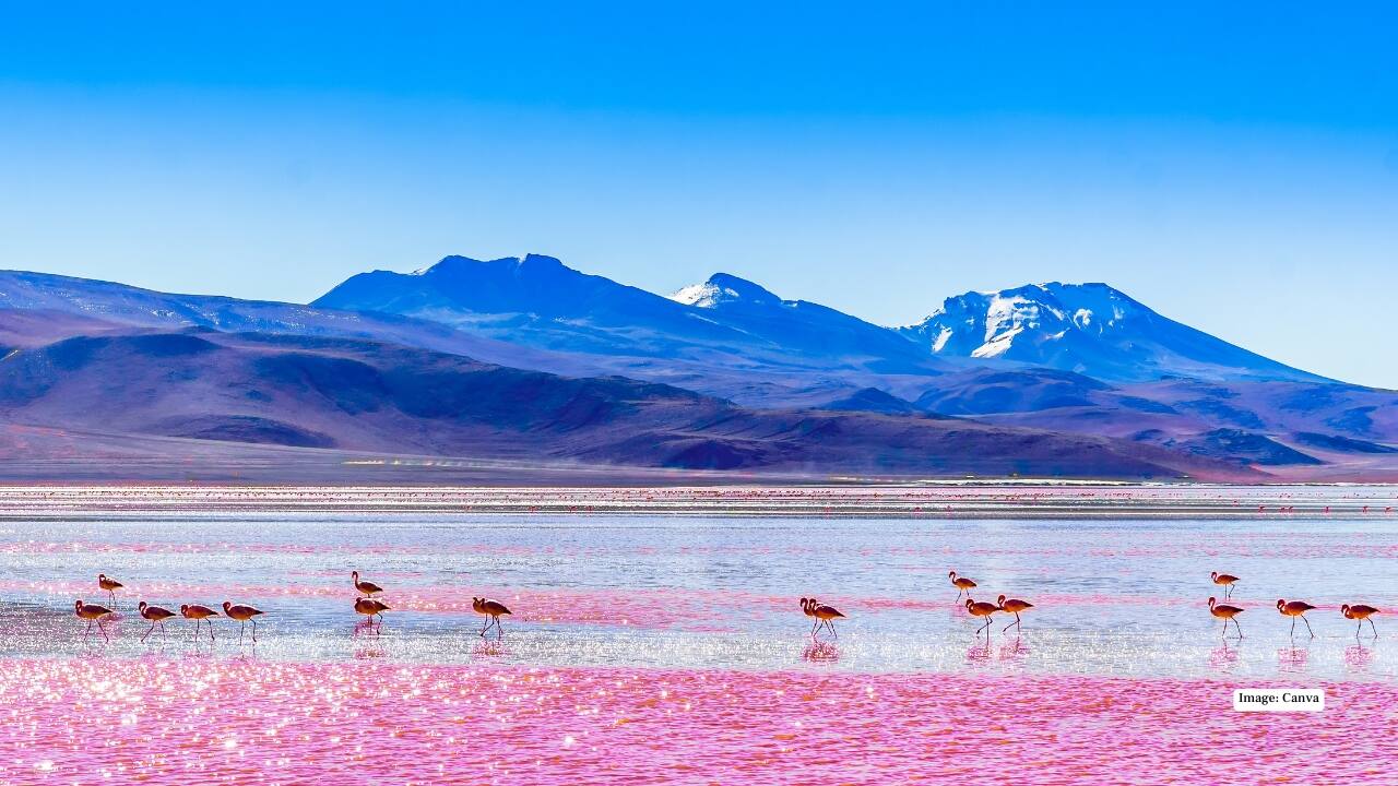 3. Bolivia Sucre – Constitutional capital La Paz – De facto executive capital Bolivia’s charm is doubled through its capitals. Sucre, with its pristine white-washed buildings, embodies history and tradition. La Paz, perched high in the Andes, bustles with governmental activity. Together, they offer travellers a fascinating contrast between Bolivia’s past and its contemporary political heartbeat. (Image: Canva)