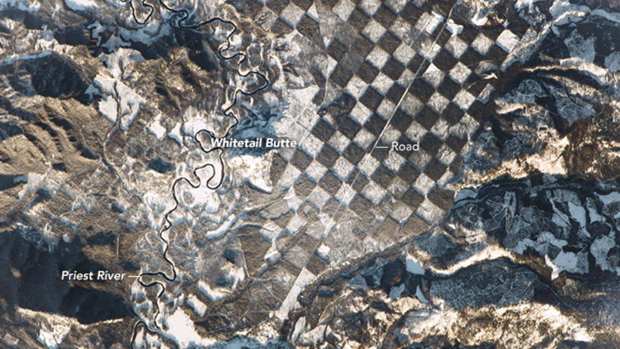 Earth from Space: Giant 'chessboard forest' seen surrounding Idaho river in bizarre photo