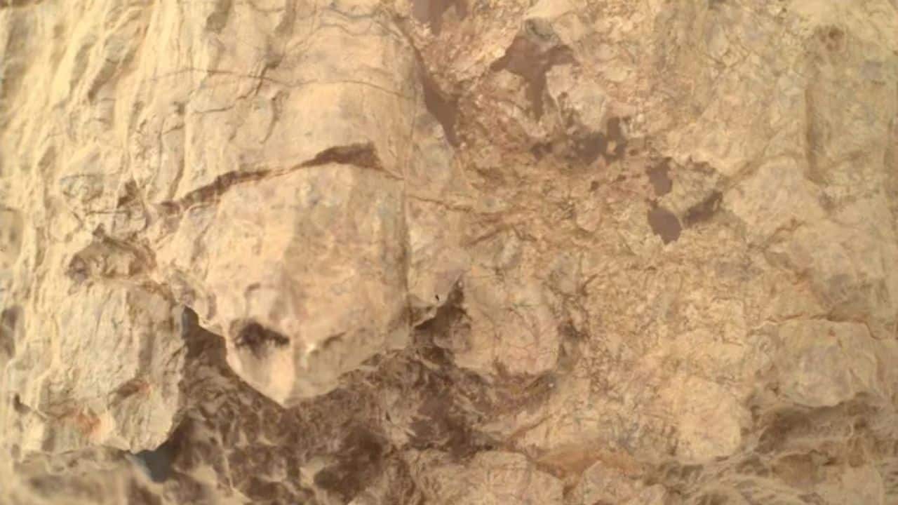 NASA’s Perseverance Rover spots mysterious fossil-looking ‘turtle’ on Mars