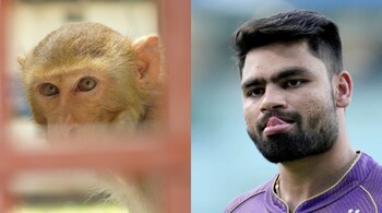Rinku Singh recalls fatal encounter with monkey