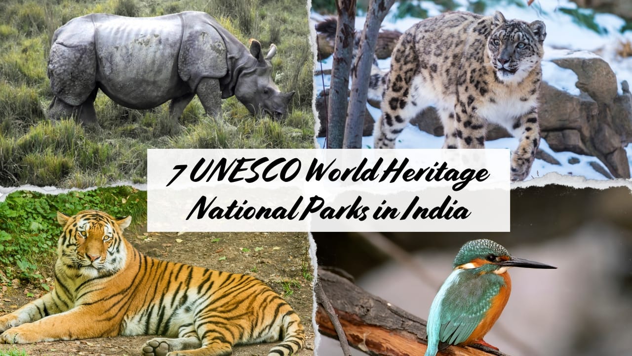 7 Indian National Parks That Are UNESCO World Heritage Sites