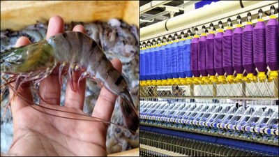 Shrimp and textile stocks