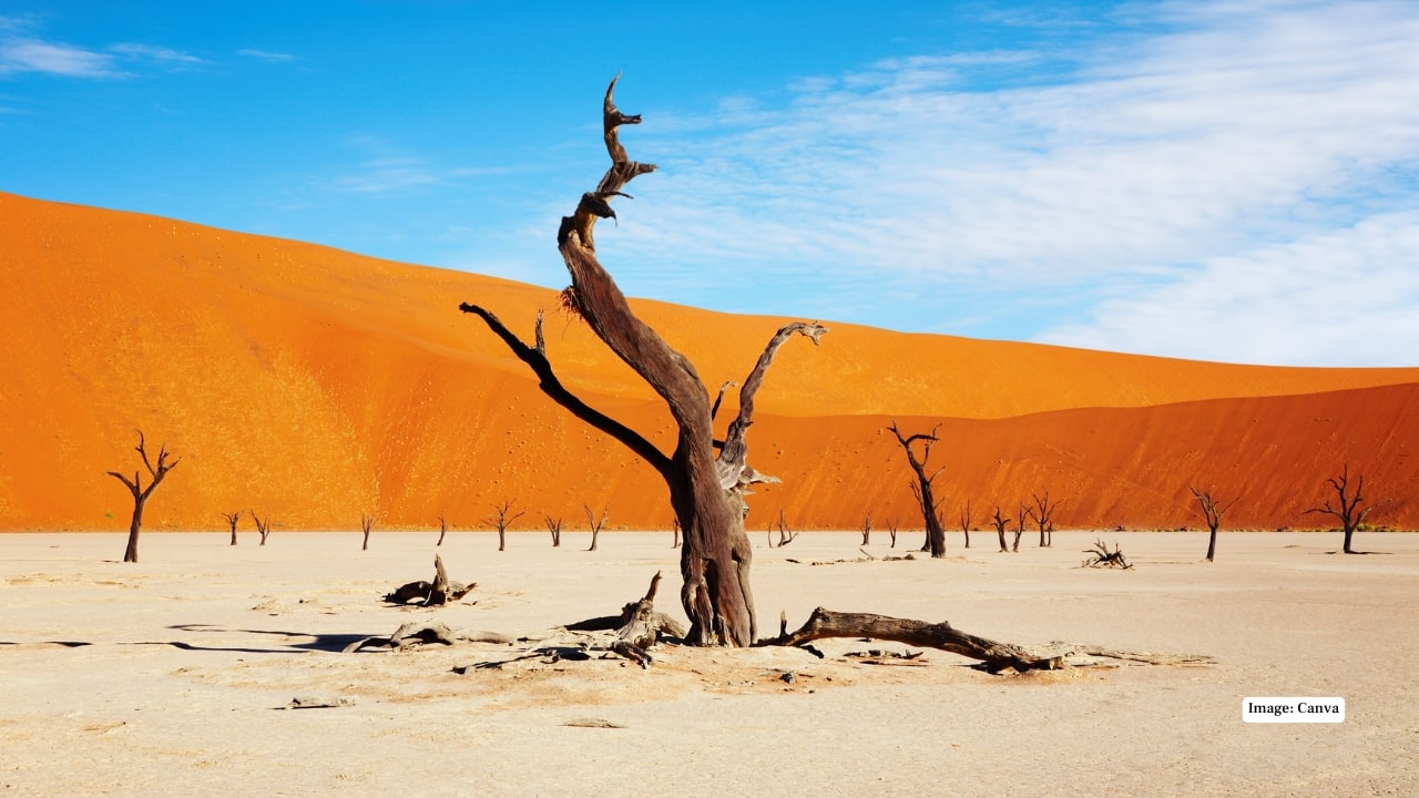 6. Namibia: Safari Life Meets Remote Work at an Unbeatable Price Namibia might not be typical, but it’s unforgettable. Windhoek offers affordable housing and decent infrastructure, while nomads can explore deserts, safaris, and coastlines. With low population density and reasonable living costs, it’s an offbeat haven for adventurous digital workers.