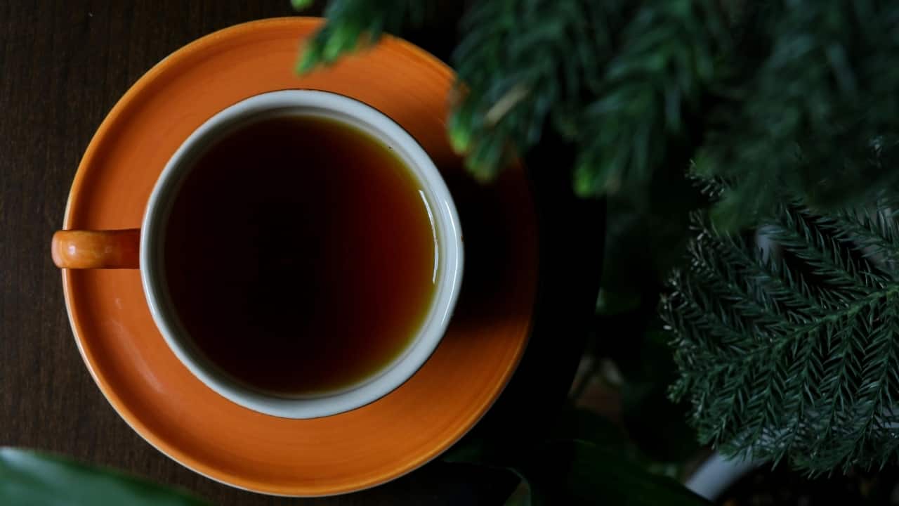 Green tea vs black tea: Which brew is better for your health?
