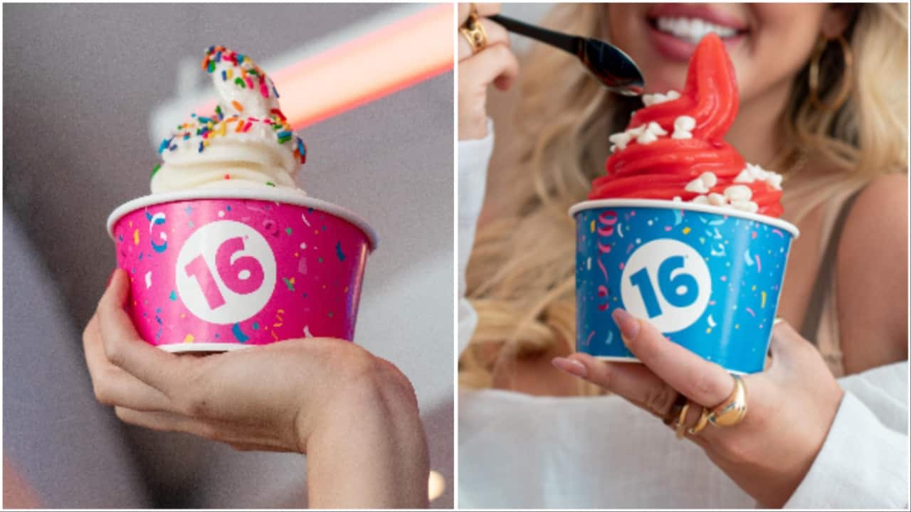 This CEO quit Wall Street at 23 to buy a frozen yogurt chain. It now makes Rs 185 crore a year