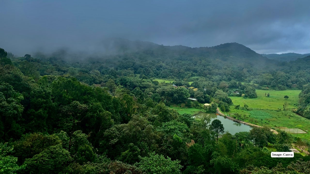 Coorg Known to have coffee plantations, foggy hills and waterfalls, Coorg is a perfect weekend getaway out of Bengaluru. Tourists like hiking, rafting and visiting lush vegetation, which makes it an ideal place to spend a festive long weekend. (Image: Canva)