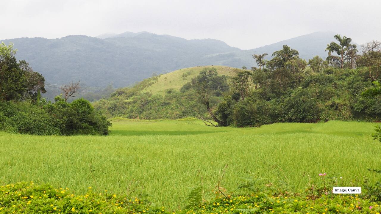 Sakleshpur Sakleshpur, which is a less popular hill station with coffee and spice plantations, is associated with hilly terrain, trekking trails and homestays. It is perfect with regard to people who want to have a peaceful but picturesque weekend outing during celebrations. (Image: Canva)