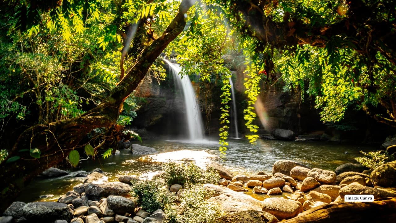 5. Thailand Khao Yai National Park Khao Yai is a tropical forest owned by wild Asian elephants: a UNESCO World Heritage Site. Through its trails, waterfalls and observation towers of wildlife, it gives an exclusive experience of viewing elephants in their natural habitats. (Image: Canva)