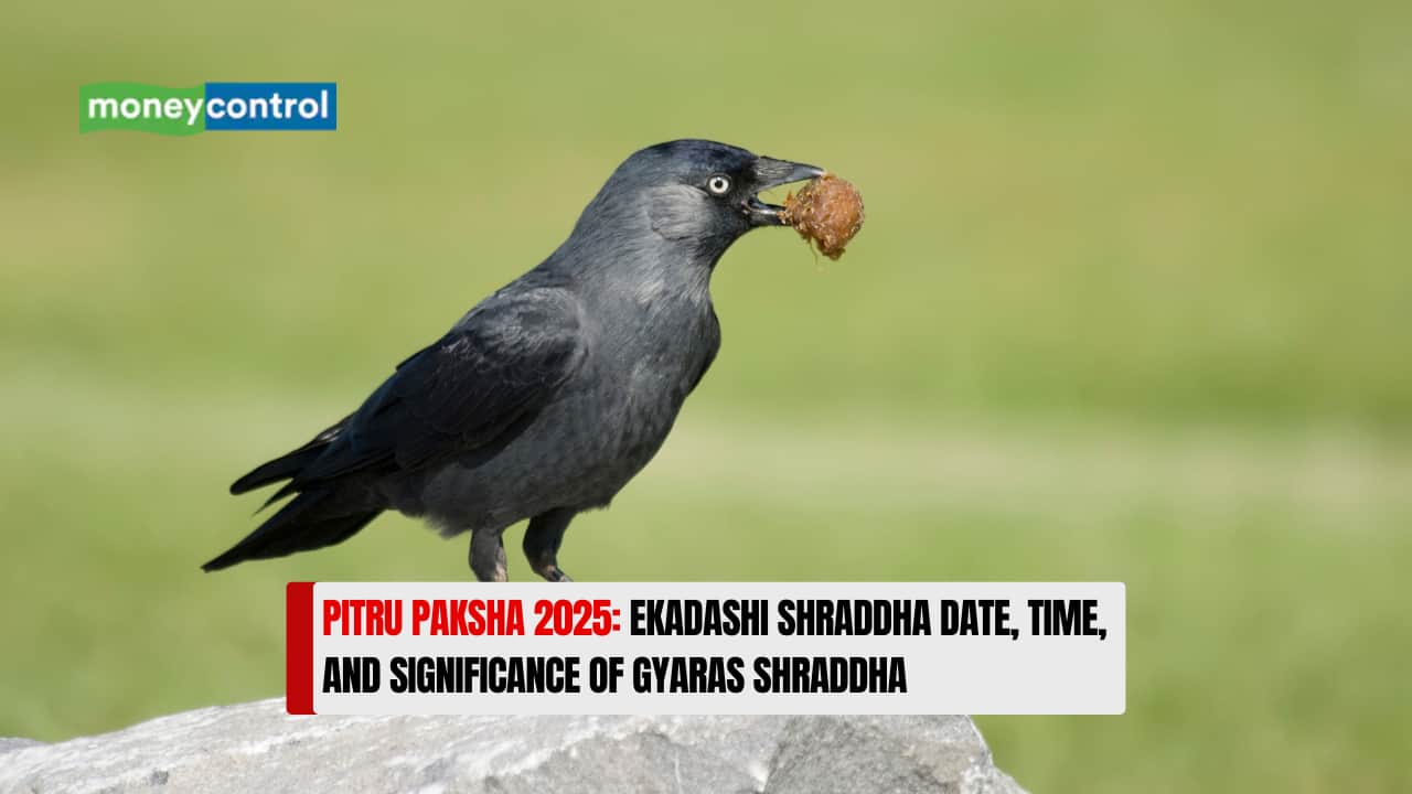 Pitru Paksha 2025: Ekadashi Shraddha Date, Time, and Significance of Gyaras Shraddha