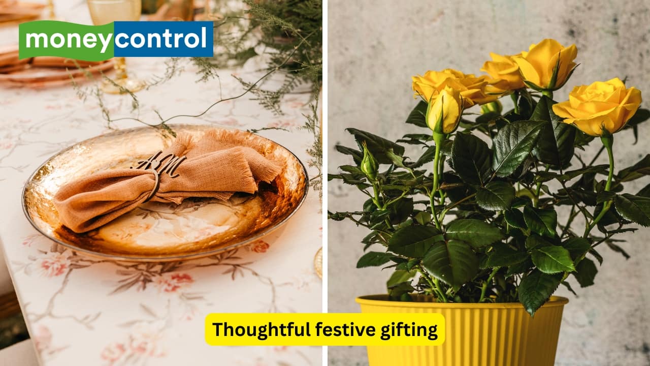 Festive Gifting Ideas 2025: Win your loved ones over with these thoughtful gifts, from table linens to houseplants