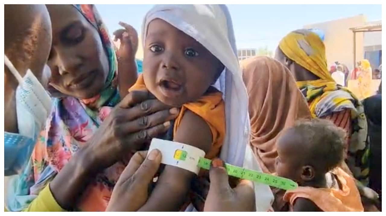 Why El Fasher is at the centre of Sudan’s humanitarian catastrophe