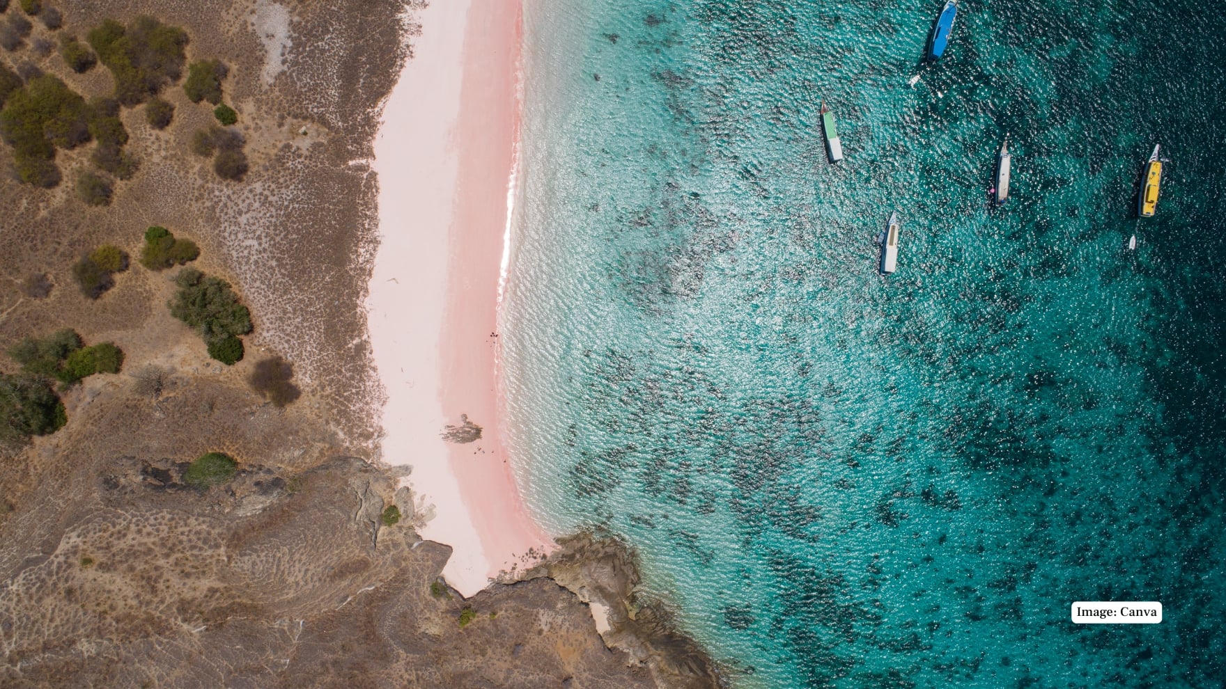 Pink Beach, Komodo Island - Indonesia It is a blush-colored sand beach with bright blue water, which makes it unique. It is one of the best places to go snorkelling in the coral reefs and watch the popular Komodo dragons around. (Image: Canva)