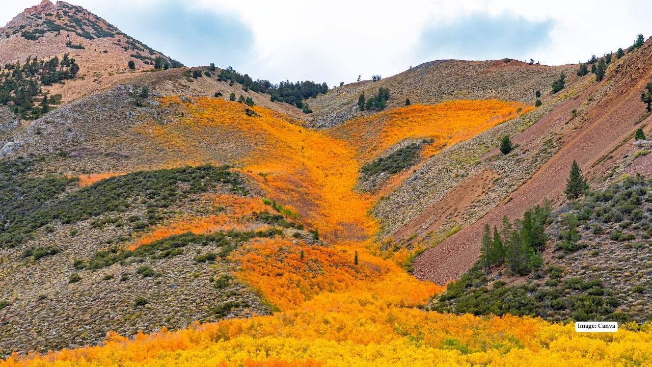 Bishop Creek Canyon, California, USA
