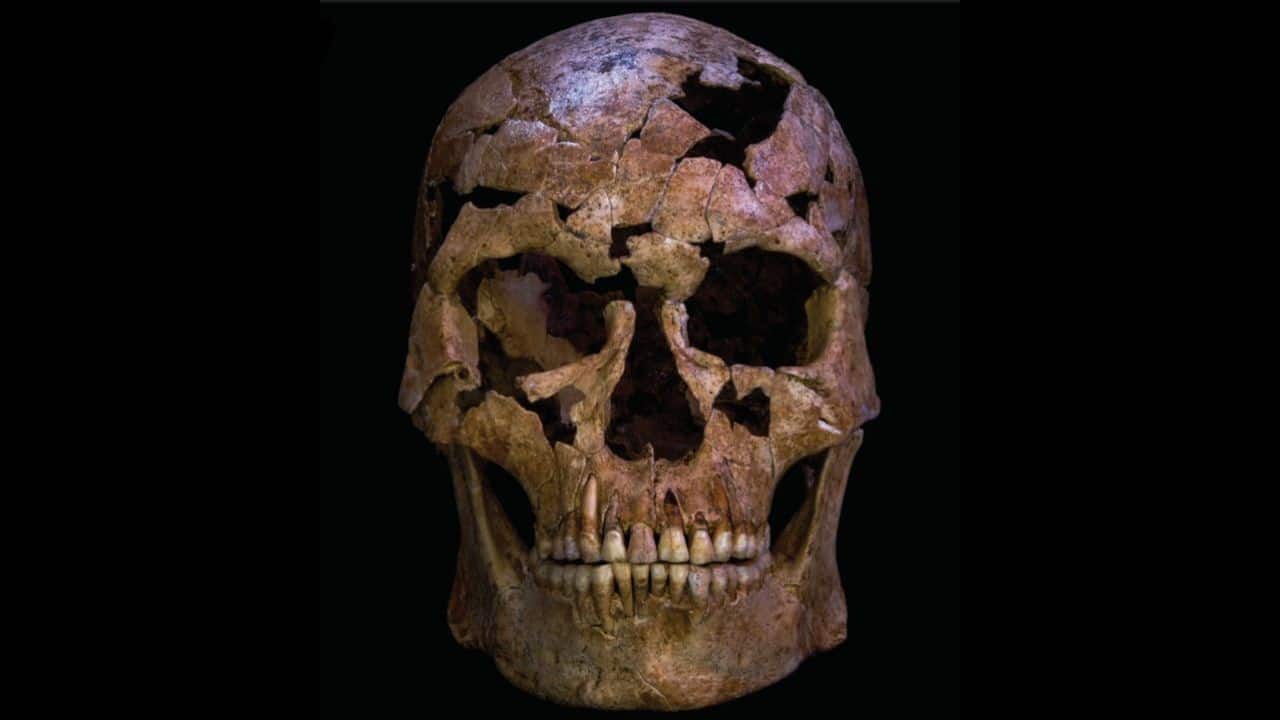 Discovery of 12,000-year-old bones may reveal one of history’s earliest murder victims