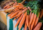 Nutritionist explains why you should eat carrots every day