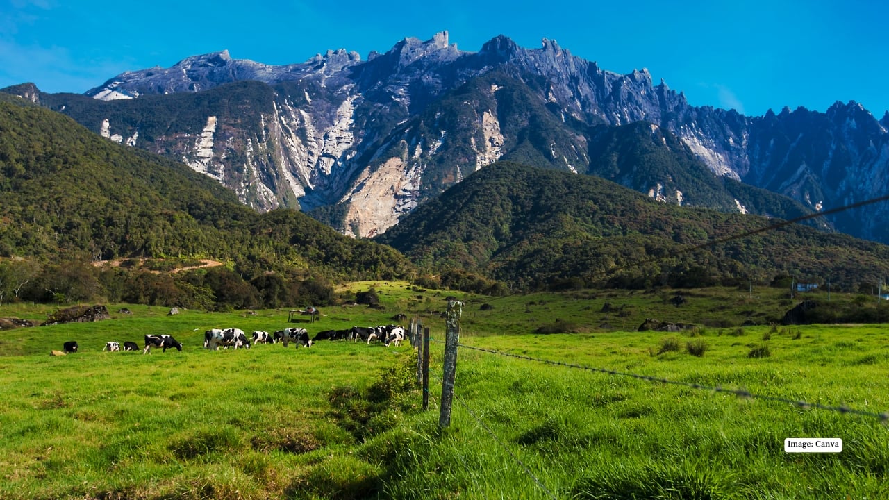 4. Kinabalu National Park, Malaysia Home to Mount Kinabalu, Malaysia’s tallest peak, this park is a biodiversity treasure trove. Misty forests, exotic orchids, and vibrant birdlife make it perfect for trekking and wildlife photography. For those who love nature, this is a playground you can’t miss.
