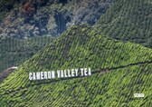 Cameron Highlands: Malaysia’s Exotic Hill Station of Lush Green Valleys and Vibrant Flowers