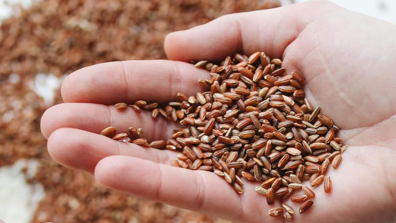 Diabetes, heart health, inflammation: Indian diet helps fight chronic diseases, says study Diabetes, heart health, inflammation: Indian diet helps fight chronic diseases, says study