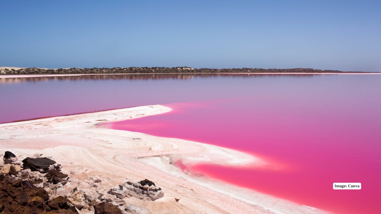 8. Lake Hillier, Australia This pink bubblegum lake lies along the blue ocean waters, which contrasts with the colour. The strange colour, which is a result of algae and minerals, appears nearly unrealistic when viewed through the sky, as a painted landscape. (Image: Canva)