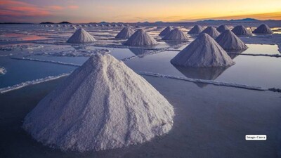 Top 10 Mind-Boggling Optical Illusions You Can Find in Nature
