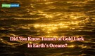 Hidden treasure in waves: Earth’s ocean water holds tons of gold, but why it’s difficult to extract