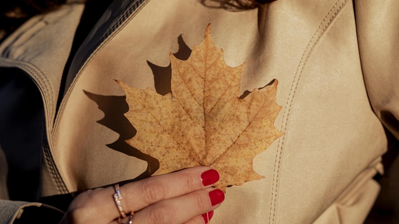 Fashion tips: Rewamp your fall wardrobe with these 10 personality-driven accessories