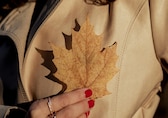 Fashion tips: Rewamp your fall wardrobe with these 10 personality-driven accessories