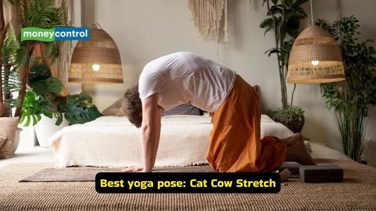 Best yoga pose to cure back pain: Cat Cow Stretch (Image: Canva)