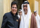 India, UAE exploring to jointly develop infrastructure, mining projects in third countries: Piyush Goyal