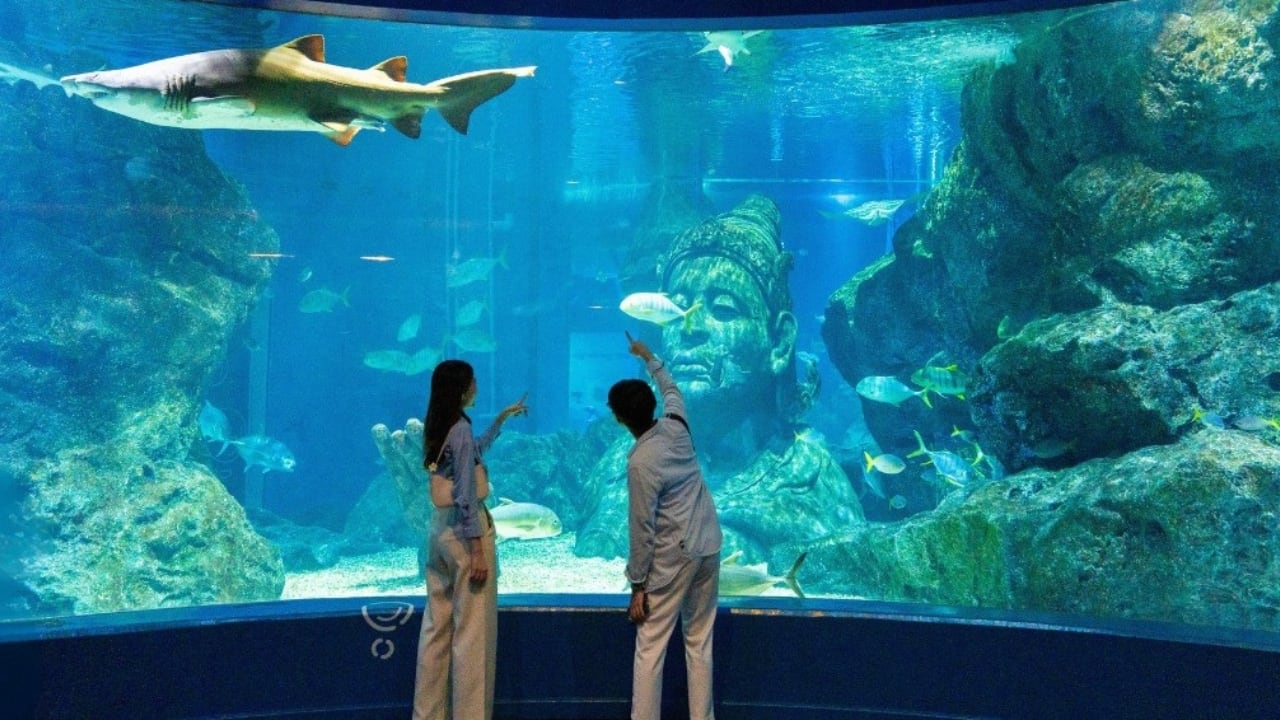 Sea Life Bangkok Ocean World, Thailand (Image: Instagram/@novotelbangkokplatinum)