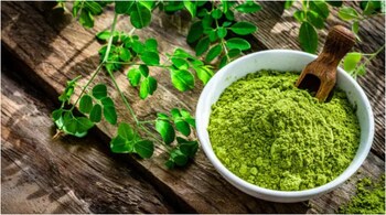 moringa