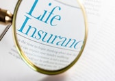LIC struggles to find growth as its investors grapple with low returns