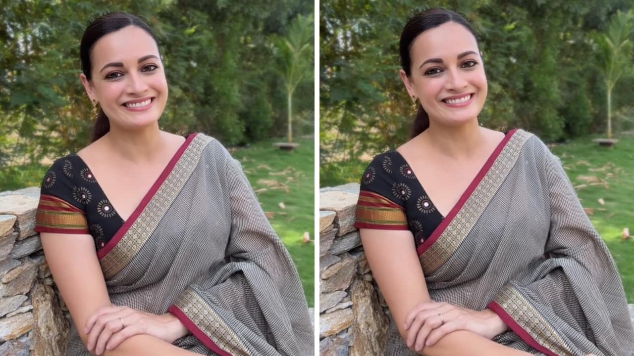 Navratri 2025 9 beautiful sarees to match each day of the festival (Image: Instagram)