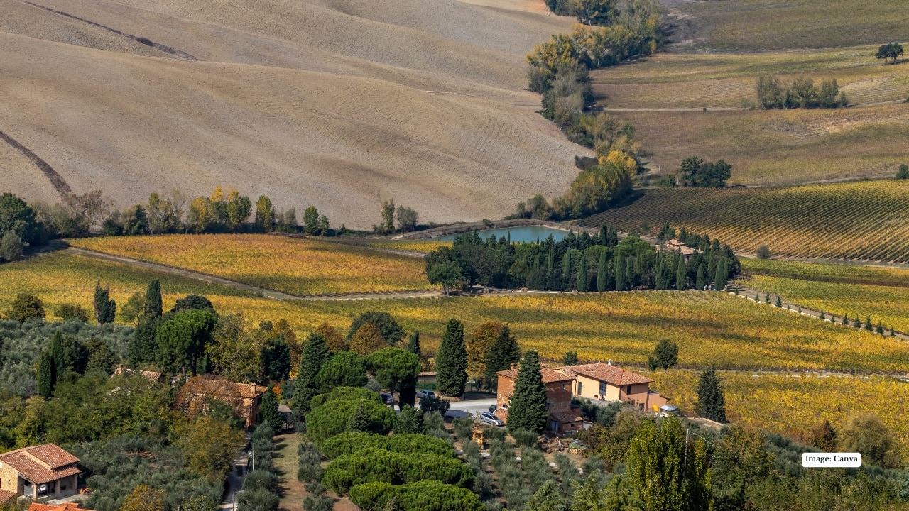 2. Val d’Orcia, Tuscany, Italy Tuscany’s rolling hills and sun-kissed vineyards are breathtaking year-round, but in spring, Val d’Orcia turns magical. Fields of poppies, daisies, and lupines carpet the landscape, winding paths through olive groves reveal a rainbow of blooms. Visit from April to June for the quintessential Tuscan spring experience. (Image: Canva)