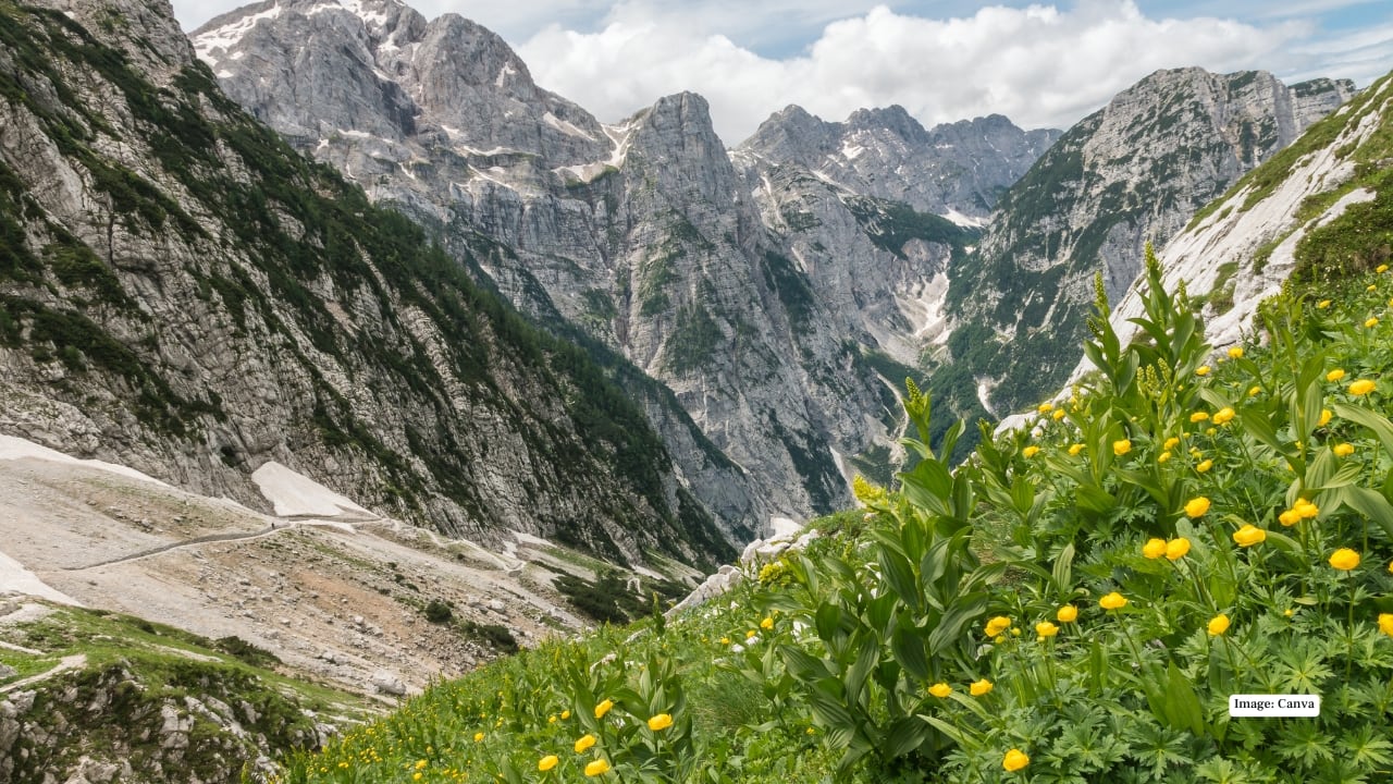 8. Julian Alps, Slovenia Triglav National Park’s alpine meadows bloom in spring with delicate star-shaped Zois’ bellflowers. Jagged peaks, crystal-clear streams, and endless carpets of wildflowers make this Slovenian destination a must-visit for hikers and nature enthusiasts. (Image: Canva)