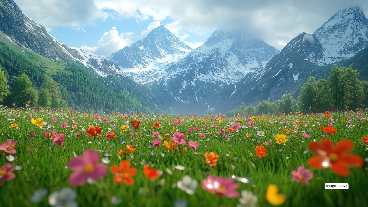 Wildflower blooms are nature’s confetti, painting landscapes in vibrant hues and filling the air with delicate fragrances. Yet these dazzling displays weren’t made just for human admiration—they exist to attract pollinating insects, helping plants produce seeds and seedlings, while also providing food for birds and other wildlife. You don’t need to travel far to catch a glimpse of this magic; a local park or backyard garden can offer a taste of spring’s colorful spectacle. (Image: Canva)