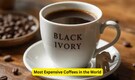 10 most expensive coffees in the world and what makes them worth the price