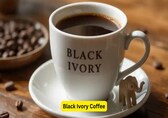 10 most expensive coffees in the world and what makes them worth the price