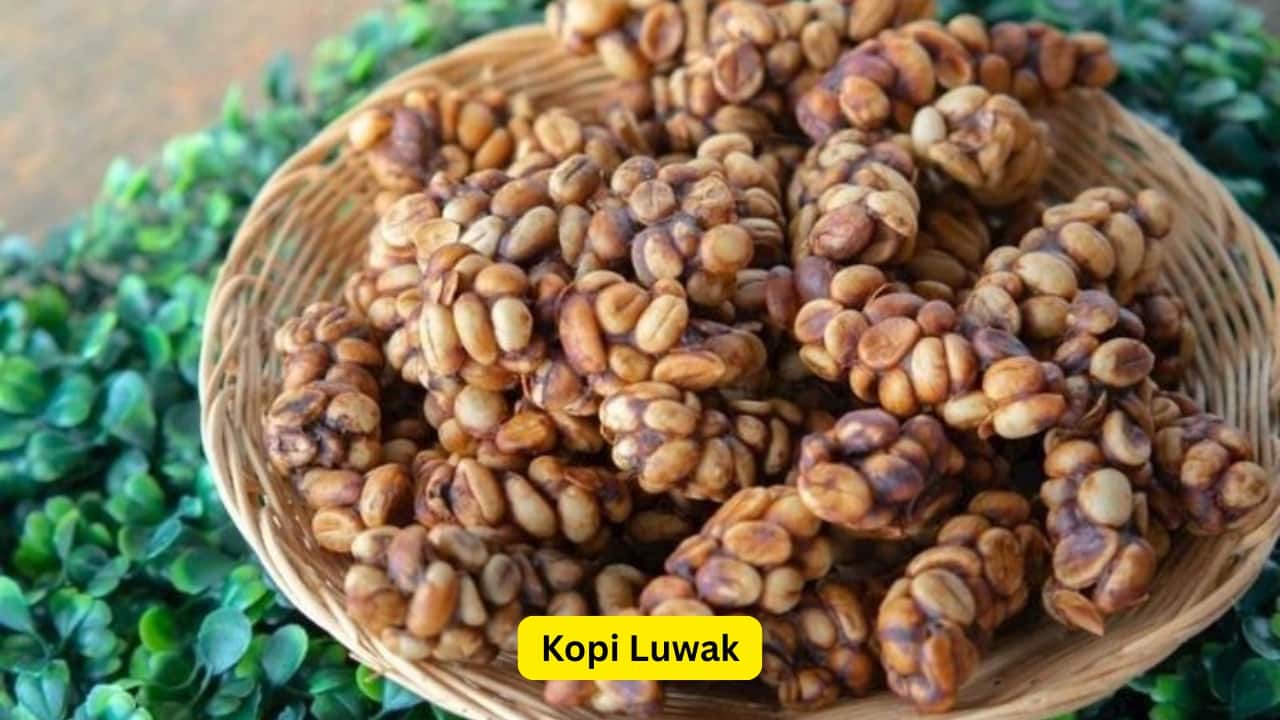 Kopi Luwak Kopi Luwak is one of the most well-known luxury coffees and comes from coffee beans that are eaten and excreted by civet cats in Indonesia. The digestive process creates a fermentation that alters the beans and gives a cup of coffee with a smooth, not bitter taste. After the fermentation process is complete, the beans are collected, cleaned, and roasted to produce coffee that has earthy flavors with mild acidity, and the price is ₹54,600 for a kilogram.(Image: Pinterest)