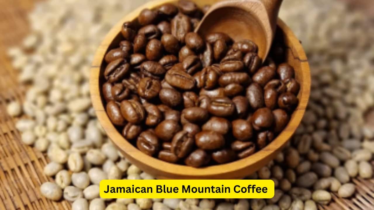 Jamaican Blue Mountain Sometimes referred to as the champagne of coffee, Jamaican Blue Mountain originates from high-altitude growing areas in the Blue Mountains. The cooler temperatures on the hillsides slow down the growth of the coffee beans, allowing for the complex flavors to develop slow without bitterness. It is famous for its smooth body, mild acidity, and bright-floral notes, presenting around ₹9,100 per kilogram.(Image: Pinterest)