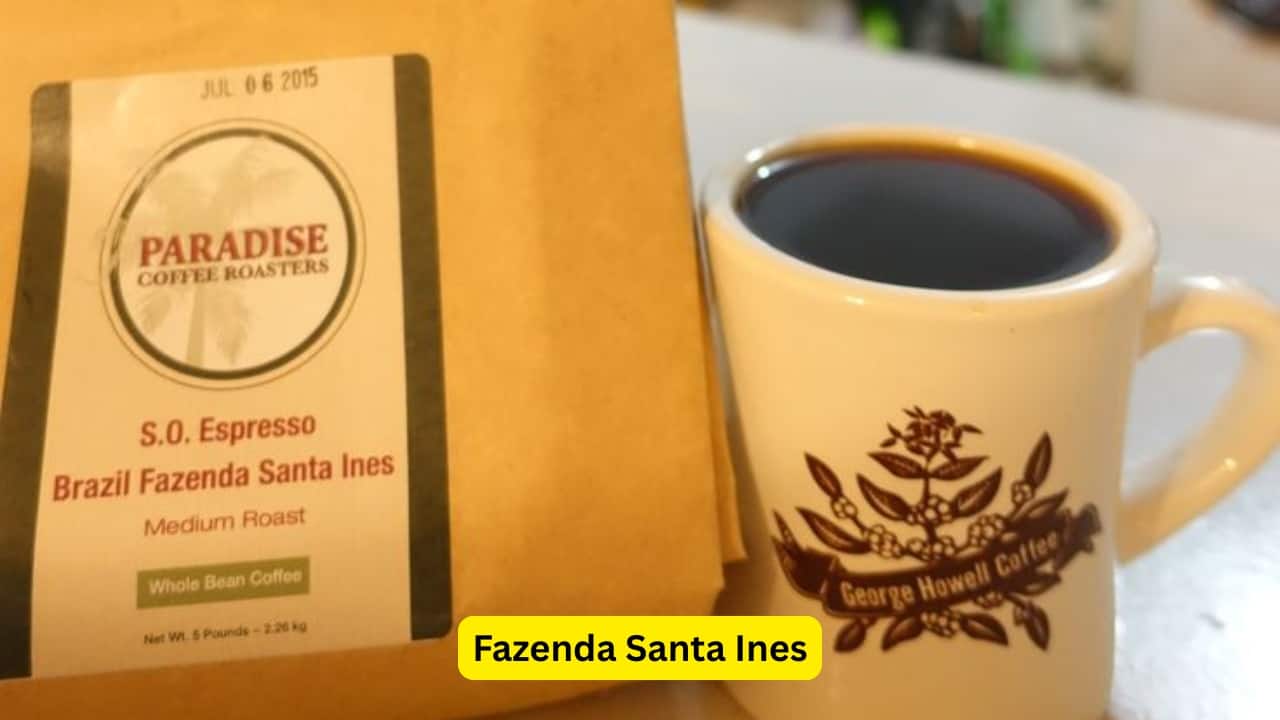 Fazenda Santa Ines Originating in Minas Gerais, Brazil, Fazenda Santa Ines is known for its naturally sweet and smooth profile. The farm uses no synthetic pesticides, only hand-picking its beans for collection. The coffee is fruity in flavor and rich in mouthfeel while bringing together notes of berry, sugarcane and chocolate, costing around ₹9,100 per kilogram.(Image: Pinterest)