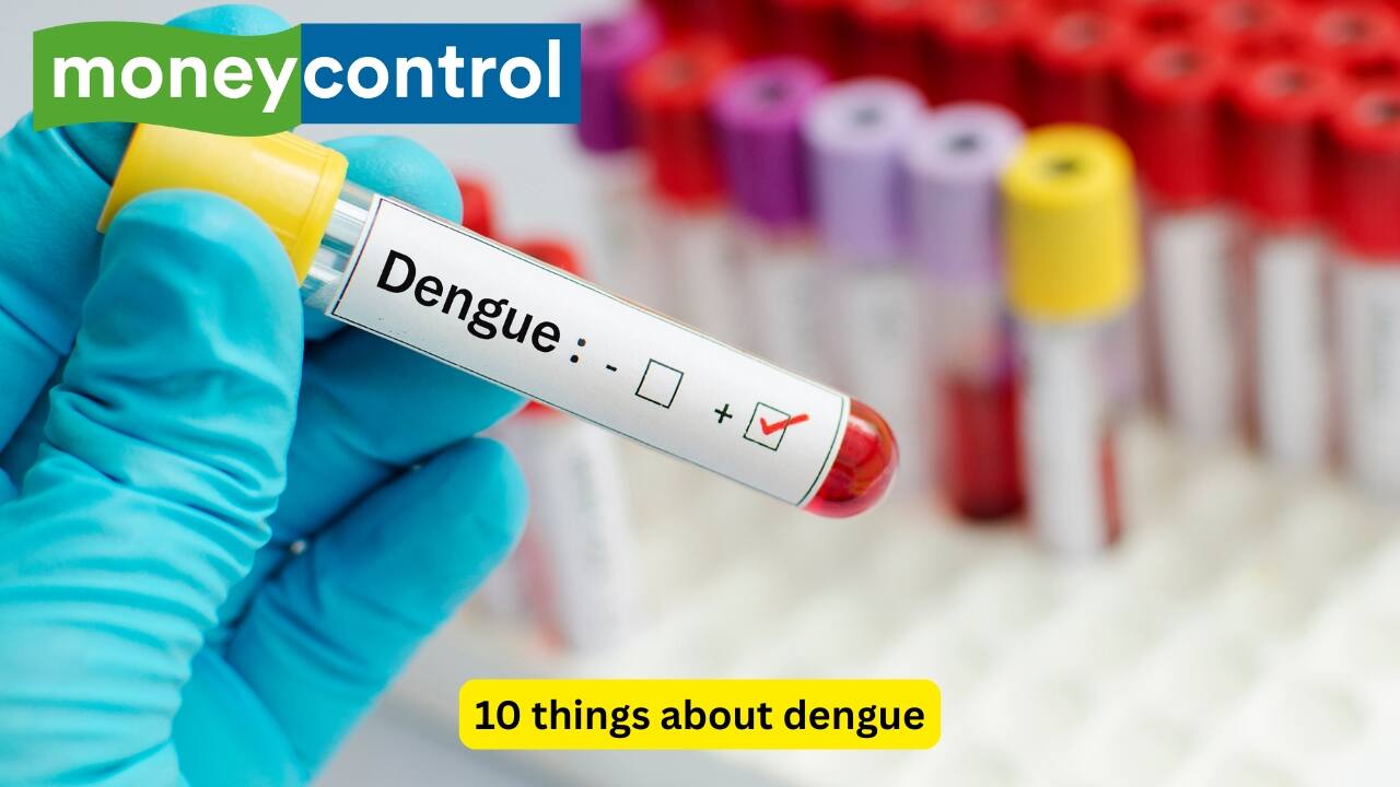 10 things about dengue: Causes, phases, and clinical features