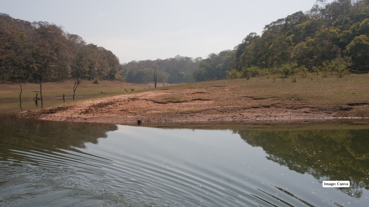 10 Thrilling Jungle Treks in India for Adventure Lovers