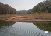 10 Thrilling Jungle Treks in India for Adventure Lovers