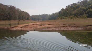 10 Thrilling Jungle Treks in India for Adventure Lovers (Image: Canva)