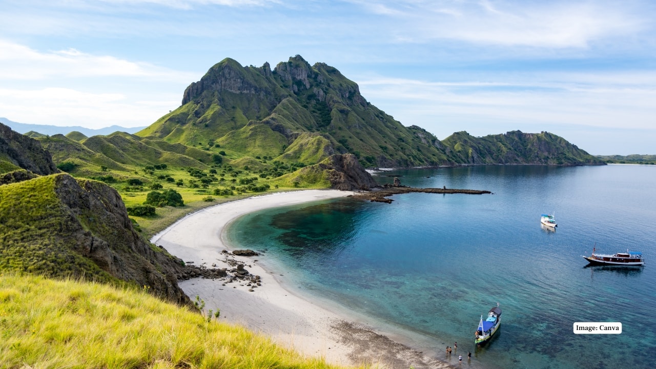 4 UNESCO Sites Celebrated for Their Unique Wildlife