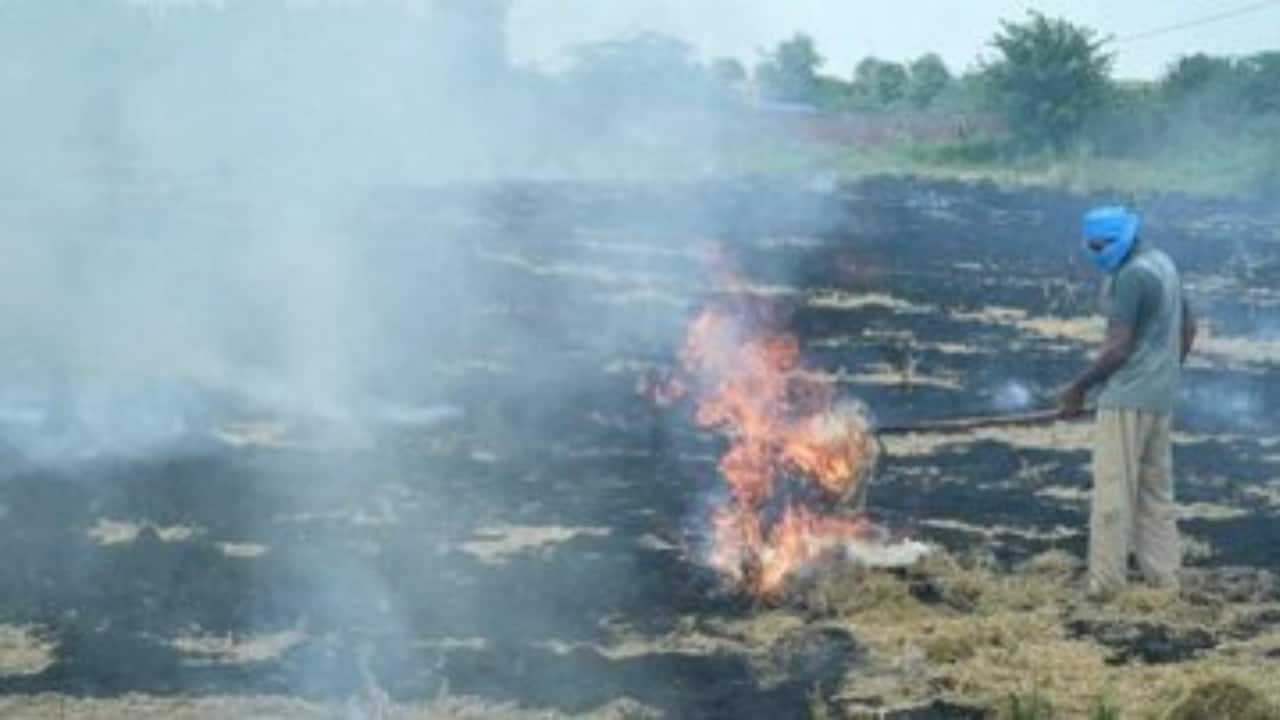 Farm fires in pics: Stubble burning begins in Punjab
