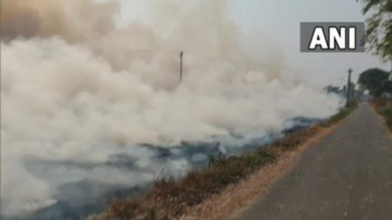 Punjab govt sets up control room for real-time monitoring of stubble burning incidents